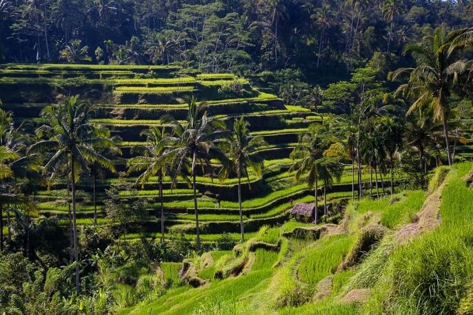 Достопримечательности Бали фото и описание