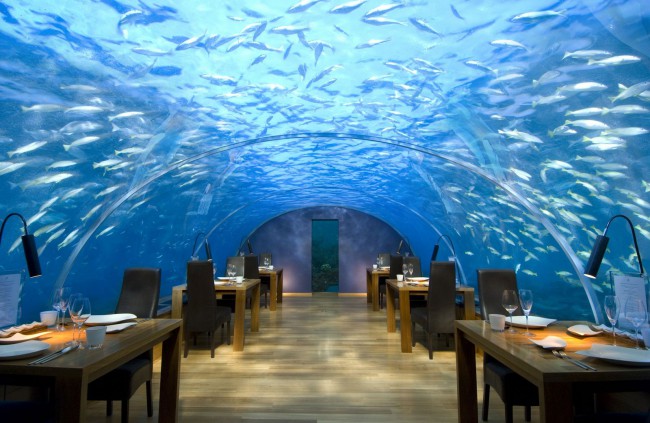 Великолепный ресторанный комплекс или «аквариум наоборот»