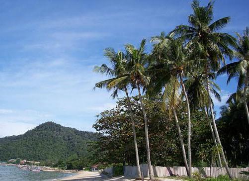 пляжный отдых в малайзии в декабре 