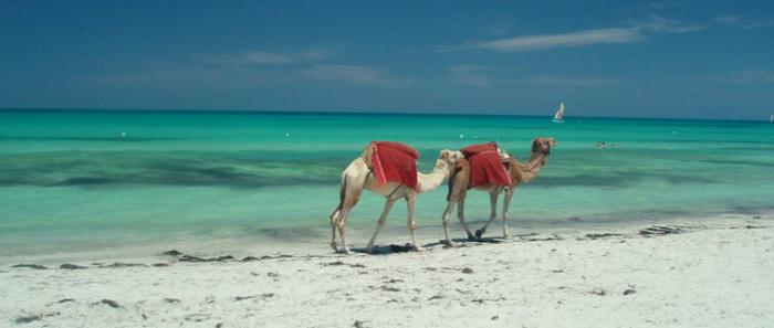Курорты Туниса в сентябре