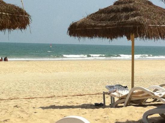 regenta resort varca beach 4 отзывы
