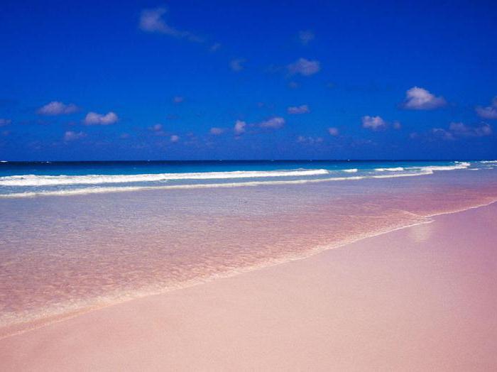 розовый пляж на острове харбор багамские острова