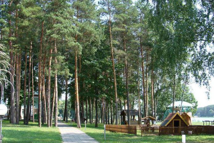  где отдохнуть в белоруссии летом с детьми