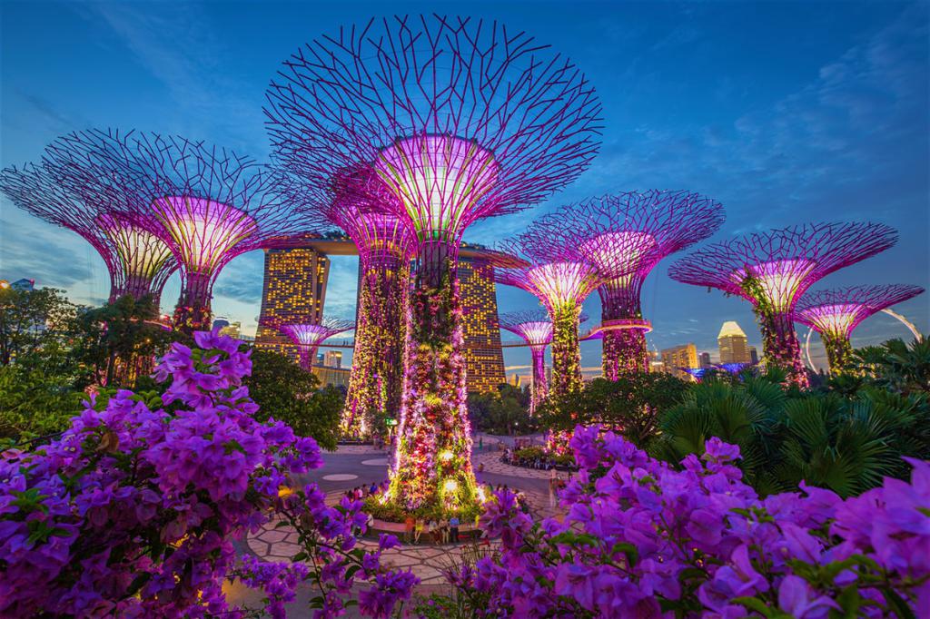 Сингапур гигантские деревья