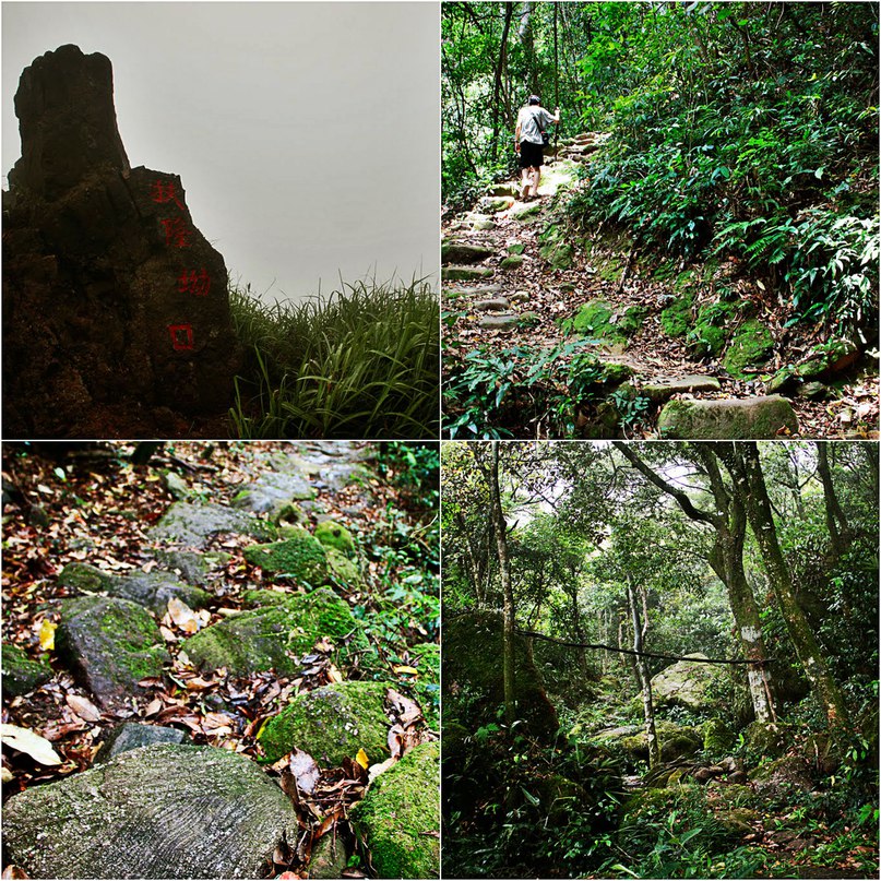 Shiwan Dashan forest Park