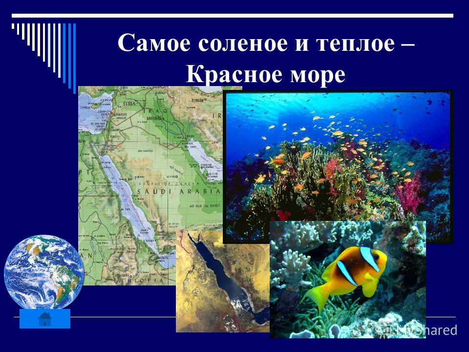 Какое самое соленое море тихого океана