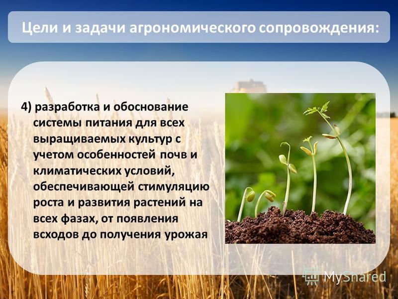 Механические воздействия на почву. Влияние почвы на растения. Влияние на рост растений. Условия роста и развития растений.