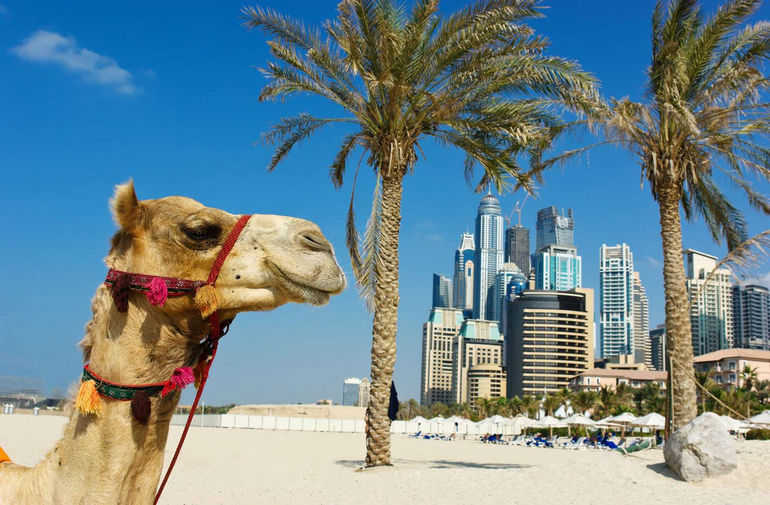 Сентябрь – лучший месяц отдыха в Арабских Эмиратах