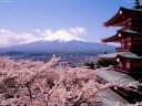 Восхождение на гору Фудзи и путешествие по Японии
