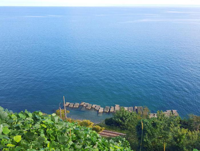 Отдых на черном море в сентябре лазаревское