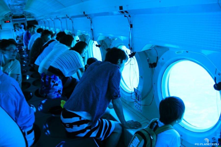 Пассажиры наблюдают за подводными красотами