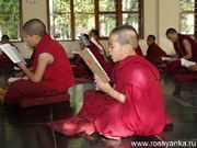 Тибетская школа