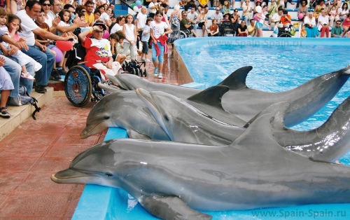 Парк Marineland в Пальма-де-Майорке