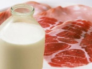 Мясные и молочные продукты