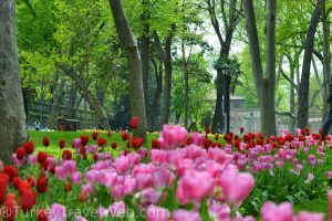 Весна в Стамбуле - Парк Гюльхане
