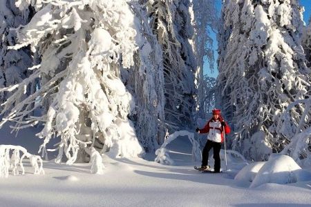 зимний отдых в финляндии5
