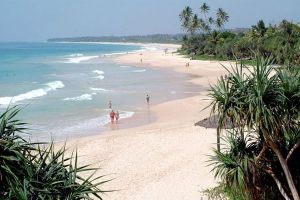 Пляжи Шри-Ланки14