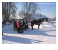 зимний отдых катание на лошади по деревне