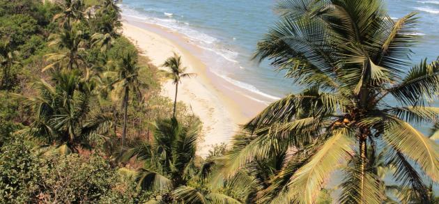 Март - один из лучших месяцев для отдыха на Гоа, когда в штате сухо и очень солнечно