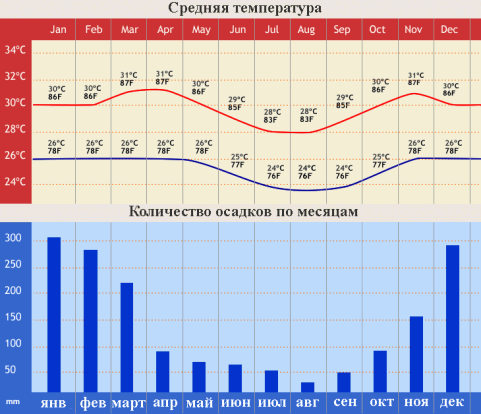 Средняя температура на бали, количество осадков