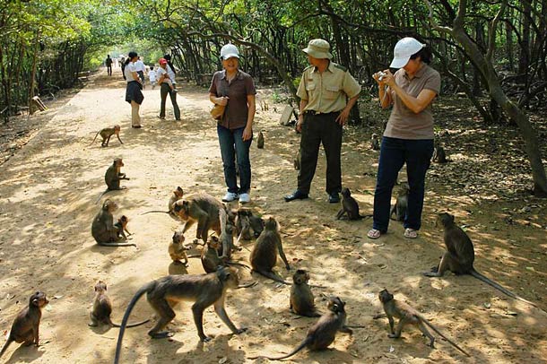 Остров обезьян (Hon Lao)