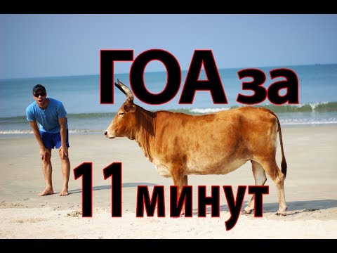 ГОА, Индия за 11 минут! ТОП-3 пляжей Анджуна, Арамболь, Вагатор, отзыв, цены, советы перед поездкой!