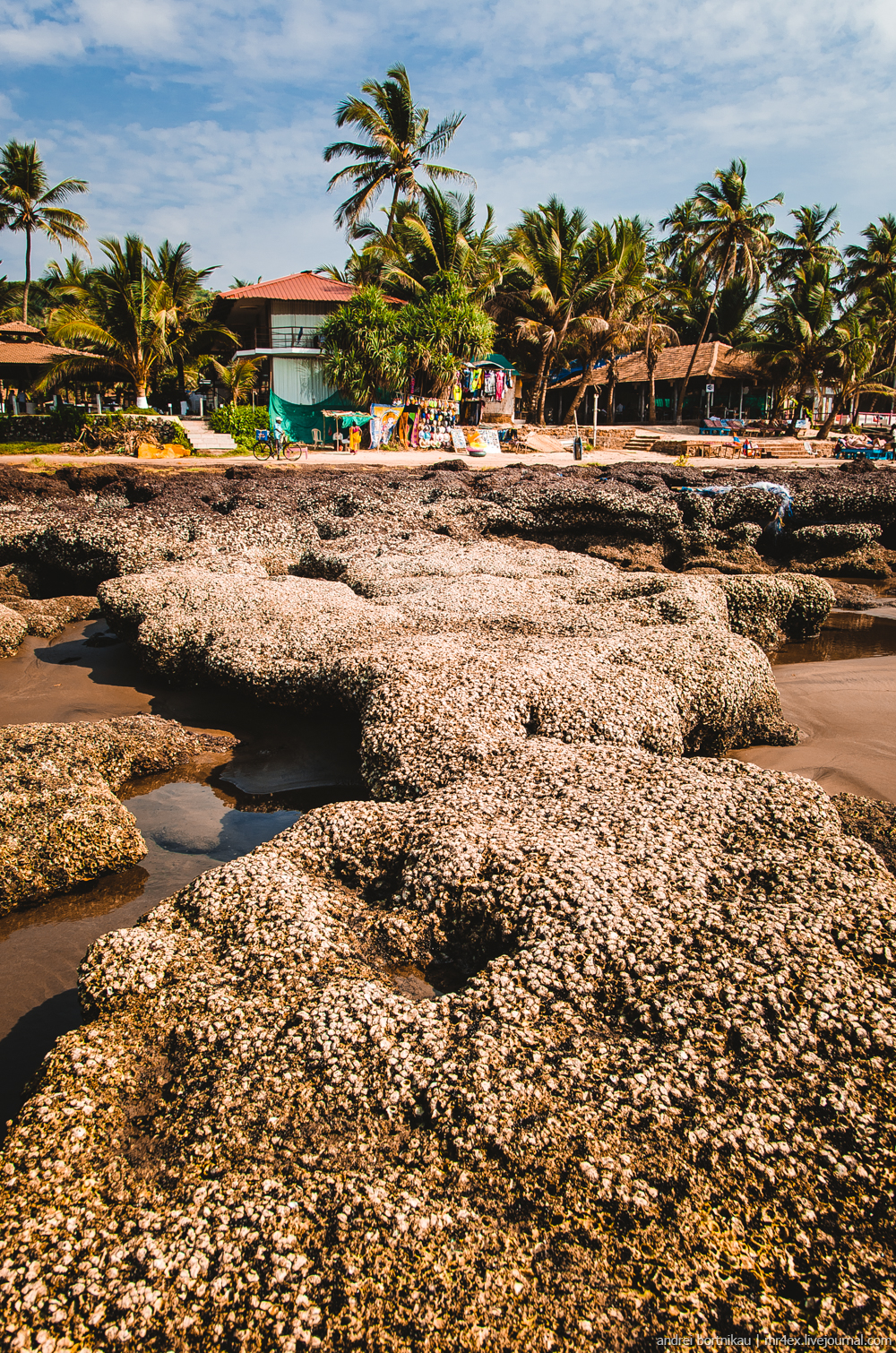 Индия, Гоа, Ашвем, море, Аравийское море, Goa, Ashvem