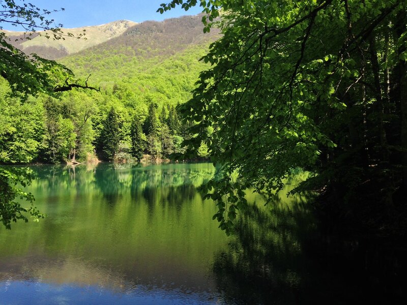 Биоградска гора и озеро в Черногории