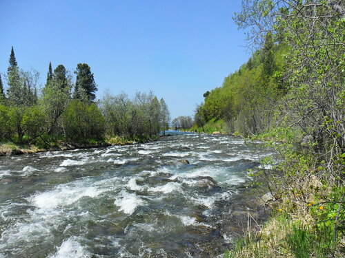Река Черемшанка
