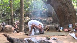 Ула Баба показывает йогу под баньяном на Гоа