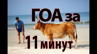 ГОА, Индия за 11 минут! ТОП-3 пляжей Анджуна, Арамболь, Вагатор, отзыв, цены, советы перед поездкой!