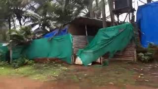 Мандрем - Ашвем. Сезон дождей, Индия, Гоа. 2015. Mandrem - Ashvem. Monsoon 2015. India, Goa