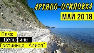 На Черное море - МАЙ 2018 | Архипо-Осиповка, пляж, гостевой дом Алиса | Дельфины в море