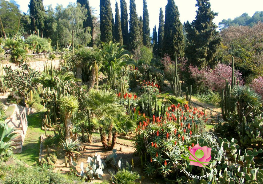 Ботанический сад в Ллорет де Мар