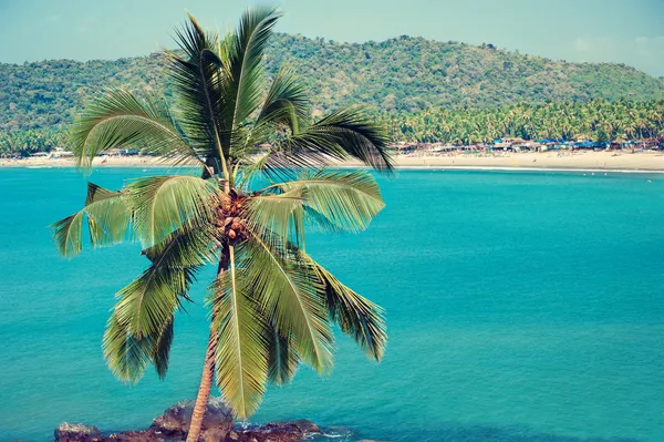 Тропический пляж Палолем — стоковое фото