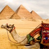 Когда откроют Египет для туристов