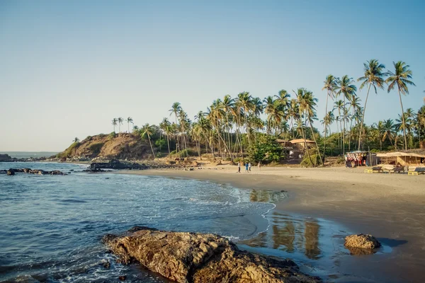 Индия Гоа пляж природа море — стоковое фото