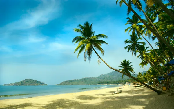 Тропический пляж Палолем, Гоа, Индия — стоковое фото