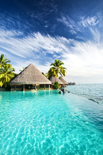Панорамный бассейн с пальмами и тропическим океаном — стоковое фото