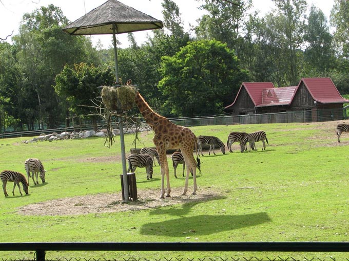 Зоопарк в Гданьске